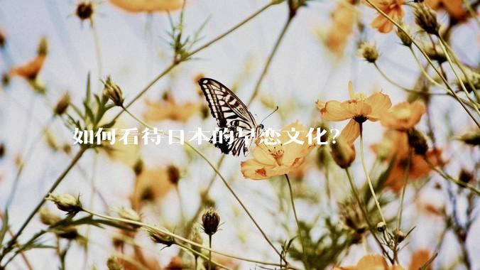 如何看待日本的早恋文化？